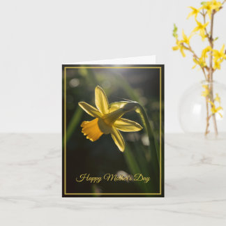 Carte Mini narcisse pour la fête des Mères