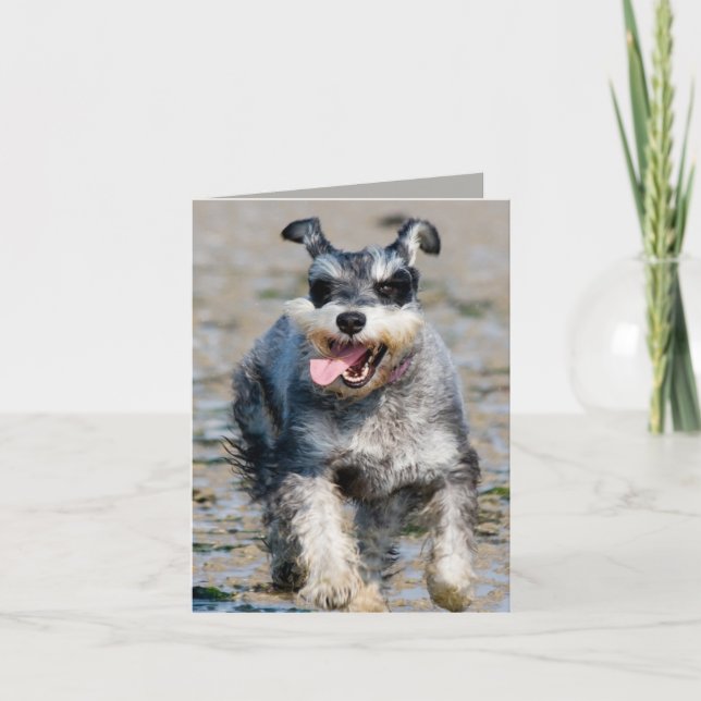 Carte mini schnauzer en fonctionnement (Devant)