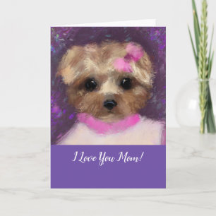 CARTE MINI YORKIE POO