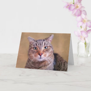 Carte Minutieux Kitty Se Bien
