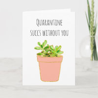 Mise en quarantaine réussie sans vous Succulente