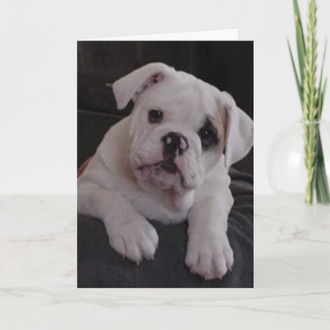 Carte Miss Nala (Devant)