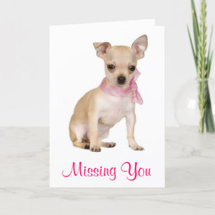 Carte Missing You Chihuahua Puppy Dog Greeting Card