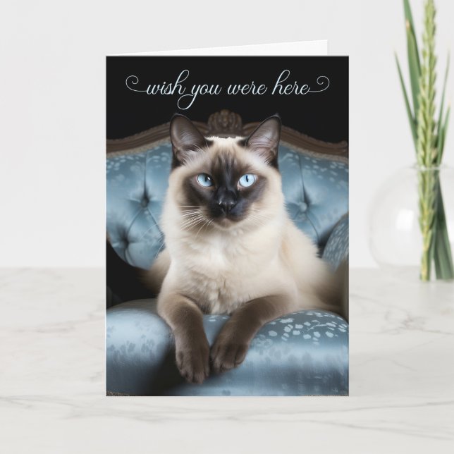 Carte Missing You Siamese Cat on a Blue Chair (Devant)