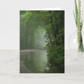 Carte Mist dans la forêt