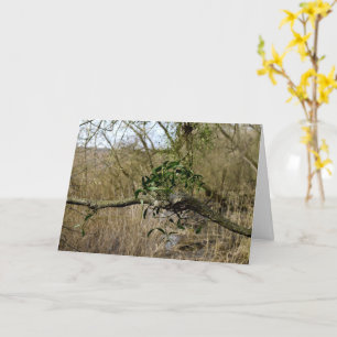 Carte Mistletoe