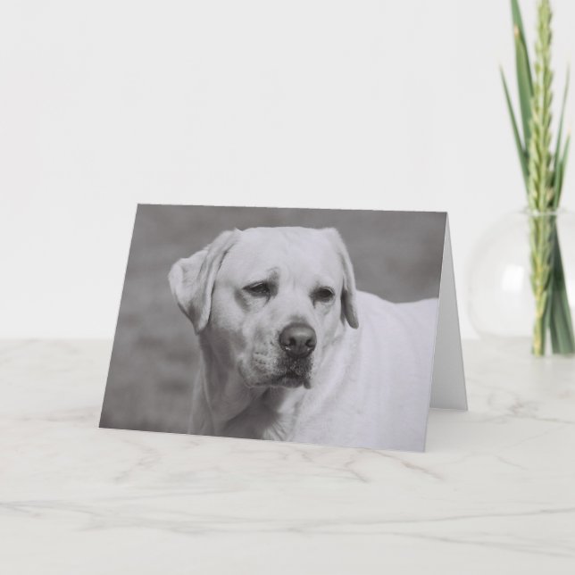 Carte Misty (Devant)