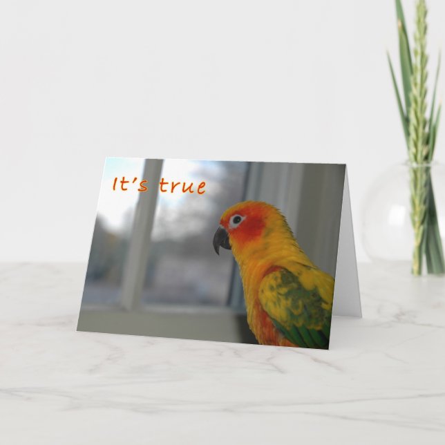 Carte Mlle (Devant)