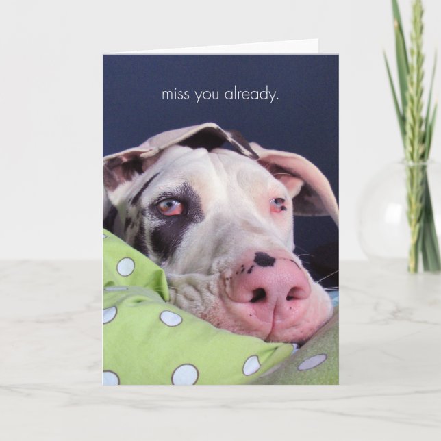 Carte Mlle You Already (Devant)