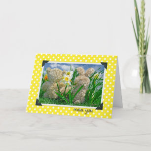 Carte Mlle You Friend