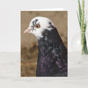 Carte Mme Pigeon