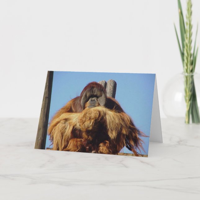 Carte Modèle d'anniversaire Orangutan (Devant)