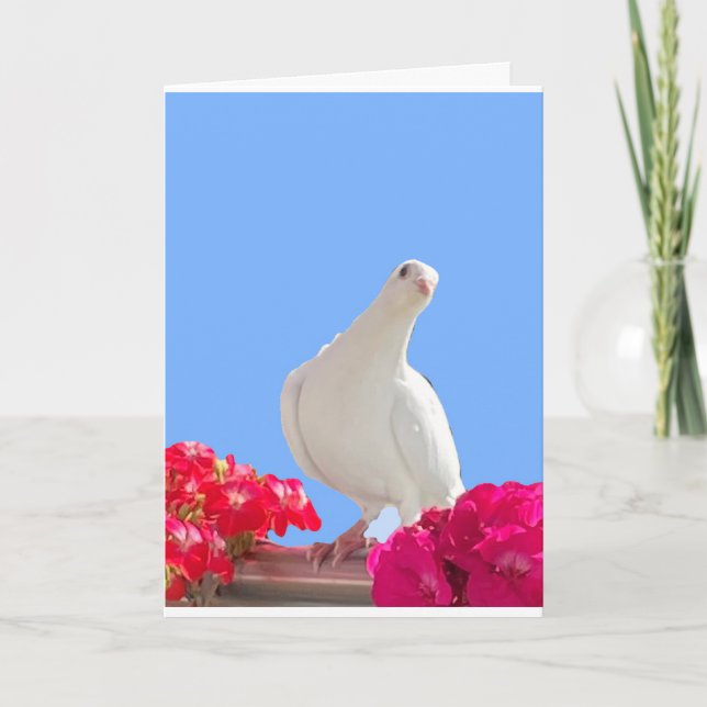 Carte modifiable White Dove (Devant)