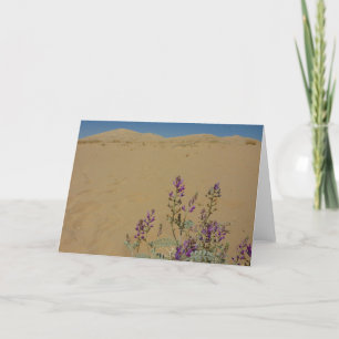 Carte Mojave Indigo Bush et Kelso Dunes