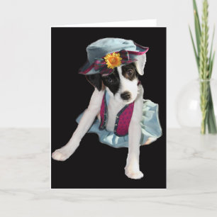 Carte Molly