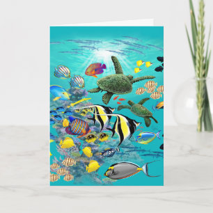 Carte Molokini Cove Hawaiian Tropical Fish Sea Turtle