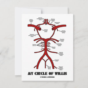 Carte Mon Cercle De Willis (Artères Humour Anatomique)