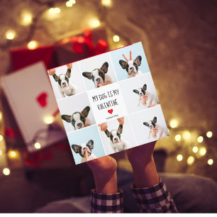 Carte Mon chien est ma Saint Valentin Photos de deux c