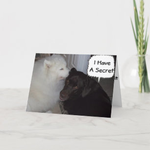 CARTE MON SECRET EST QUE JE T'AIME - TOUT LE MONDE LE SA