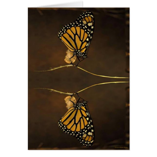 Carte Monarch (Devant)