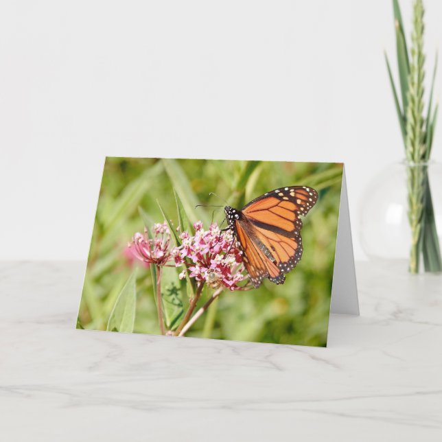 Carte Monarch Butterfly and Friend (Devant)
