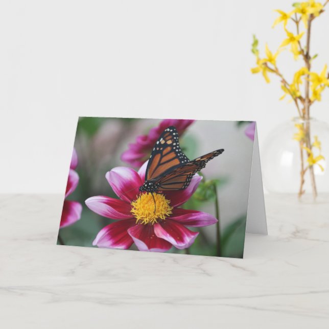 Carte Monarch Butterfly on Deep Pink Dahlia Photo Blank (Fleur jaune)