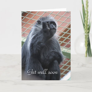 Carte Monkey get well soon