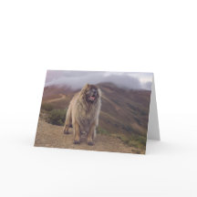 montagne Leonberger