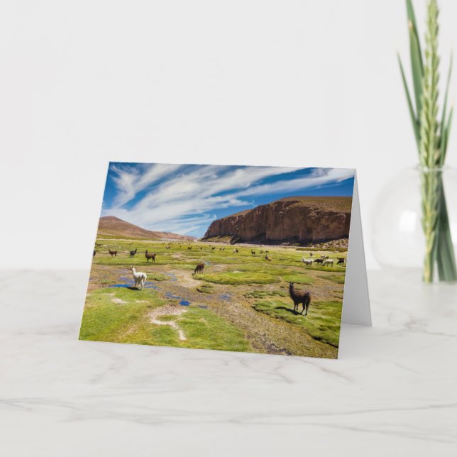Carte Montagnes | Andes boliviennes (Devant)