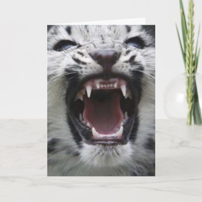 Carte montrer vos dents (Devant)