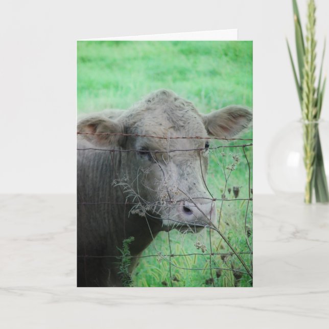 Carte Moo ! Comment vas-tu ? (Devant)