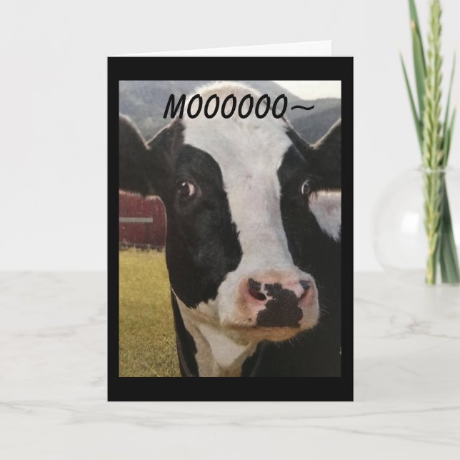 CARTE ***MOO*** U SONT "60" COMMENT CELA S'EST-IL PASSÉ  (Devant)