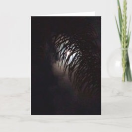 Carte Moon Frond