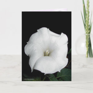 Carte MoonFlower