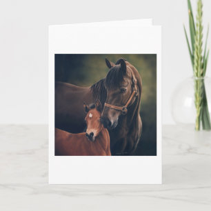 Carte Morgan Mare et Foal