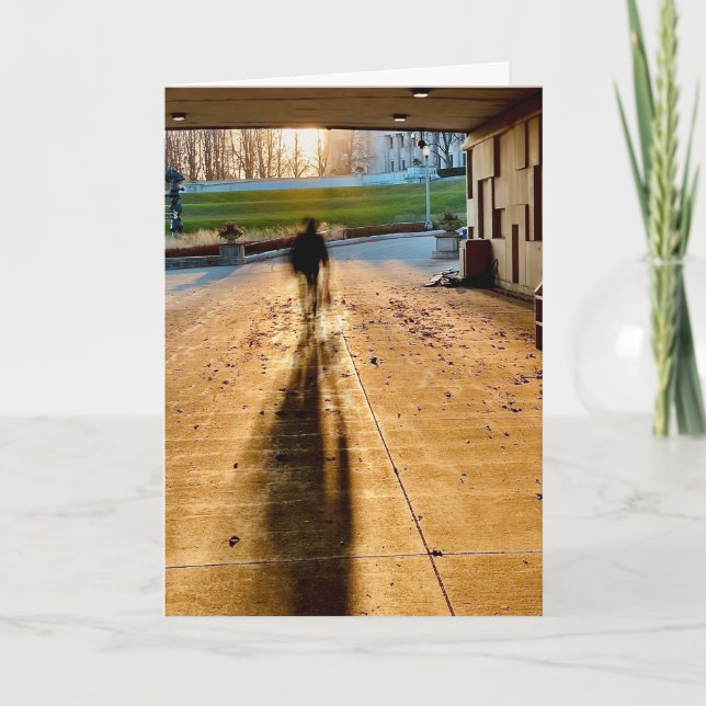 Carte Morning stroll through the Chicago Museum Campus (Devant)