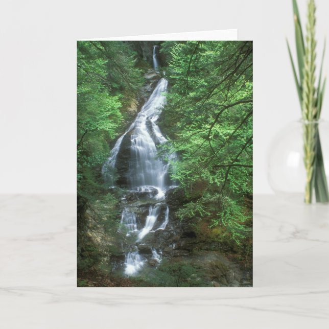 Carte Moss Glen Falls Stowe Vermont (Devant)