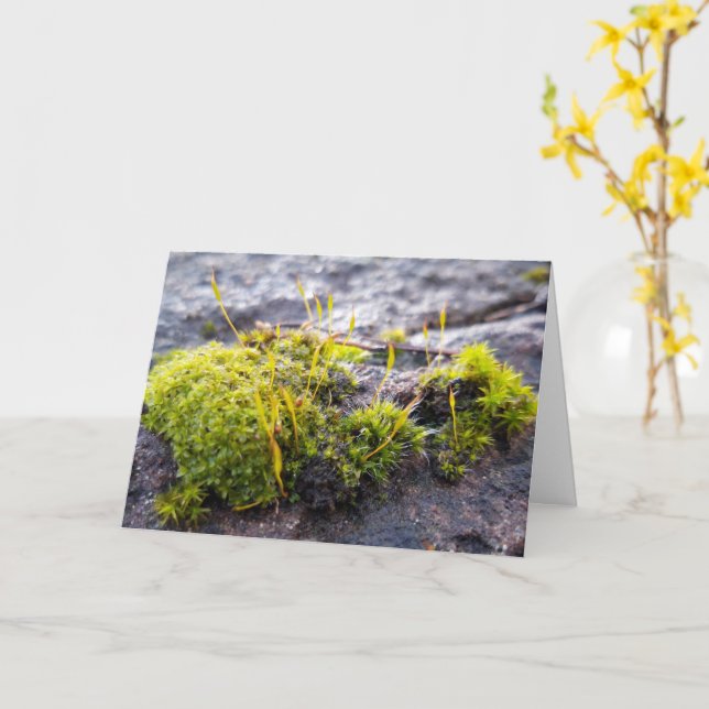 Carte Mosses, Printemps éveil (Fleur jaune)