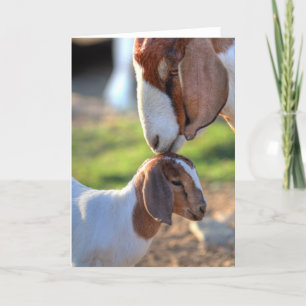 Carte Mother Goat et bébé