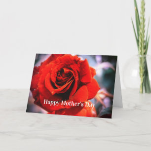 Carte Mother's Day Raindrops Red Rose Card