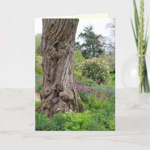 Carte Motifs Hidcote Garden  d'écorce texturée de Ash Tr