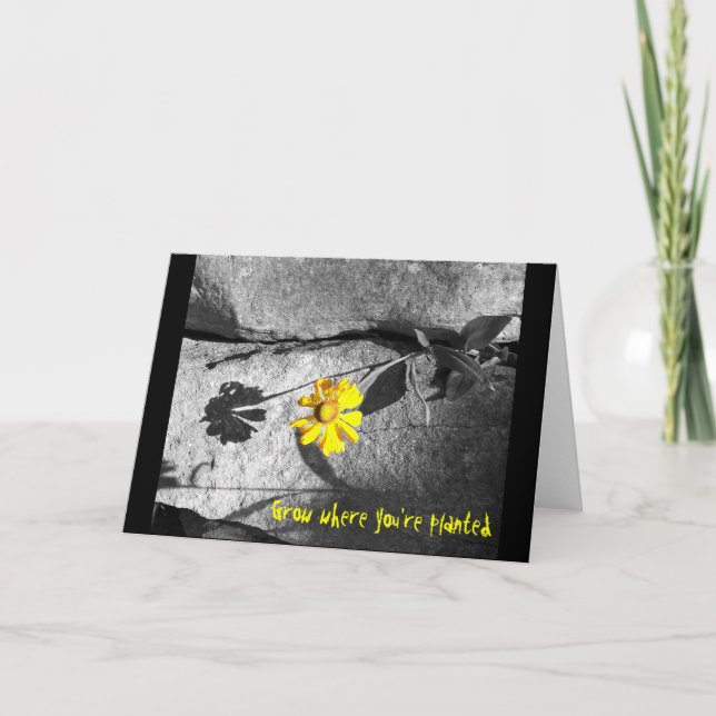 Carte Motivationnelle "Croissance là où vous êtes  (Devant)