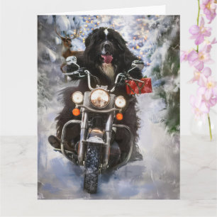 Carte Moto à chiens de Terre-Neuve Noël