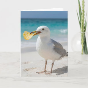 Carte Mouette d'anniversaire avec une chips