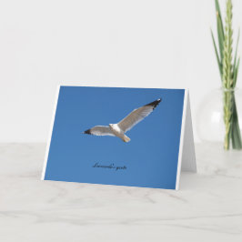 Carte Mouette en vol avec la citation de Léonard à l'int