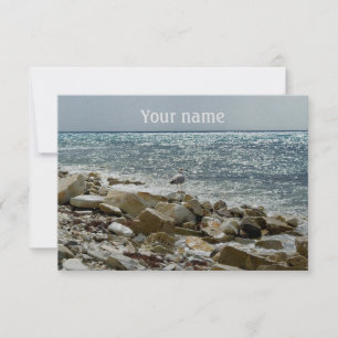 Carte mouette et surf marin