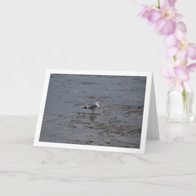 Carte Mouette sur la plage (Orchidée)