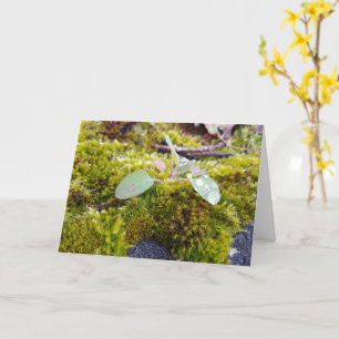 Carte Mousses avec de minuscules Fleurs, Éveil de printe