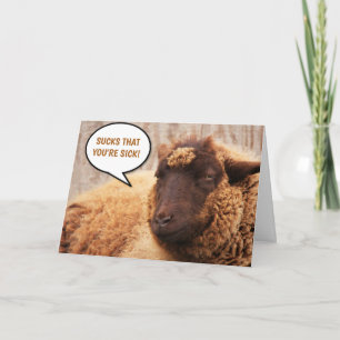 Carte Moutons Et Chèvres Bénéficient D'Un Bon Soutien