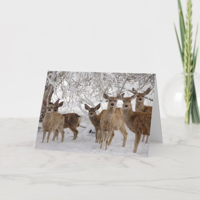 Carte Mule Deer Wyoming (Devant)